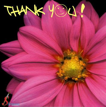 Thanks A Lot To You!! Free For Everyone eCards, Greeting Cards | 123 Greetings