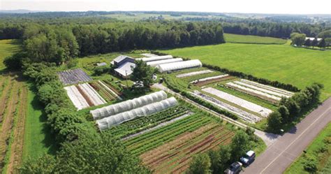 Market Gardening: How to Make a Living on 1.5 Acres – Mother Earth News