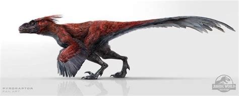 Pyroraptor Jurassic world | Jurassic Park | Jurassic world dinosaurs ...