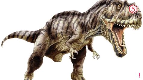 Hewan-Hewan Ini Lebih Buas dari Dinosaurus T-Rex - Tulungagung Times