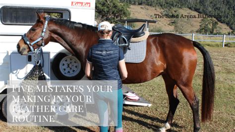 Horse Tack Tip: 5 Leather Care Mistakes You're Probably Making - Horse ...