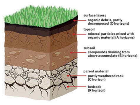 Topsoil Subsoil Bedrock