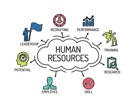 Online Courses in Human Resources Management