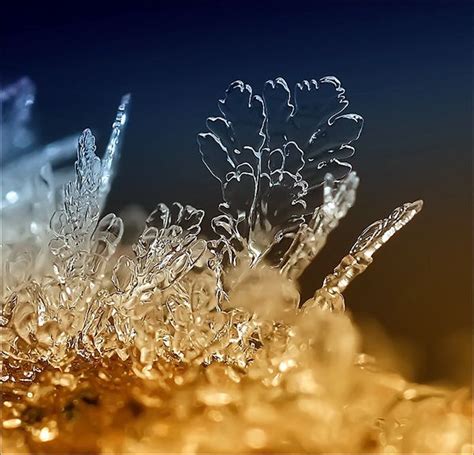 Macro photography, Winter background, Ice photography