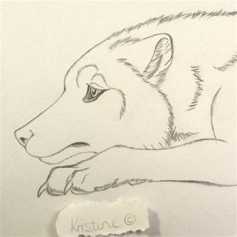 Sad Wolf Drawing at PaintingValley.com | Explore collection of Sad Wolf ...