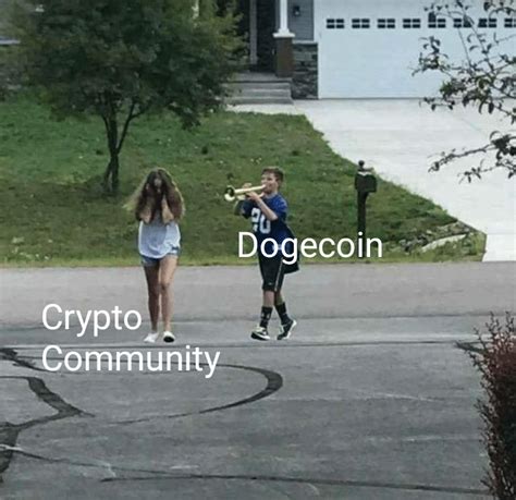 Dogecoin: the top 10 memes of 2020 - Cryptheory - Just Crypto