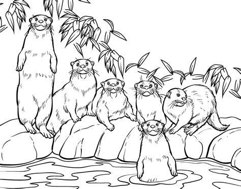 Free Sea Otter Coloring Page, Download Free Sea Otter Coloring Page png images, Free ClipArts on ...