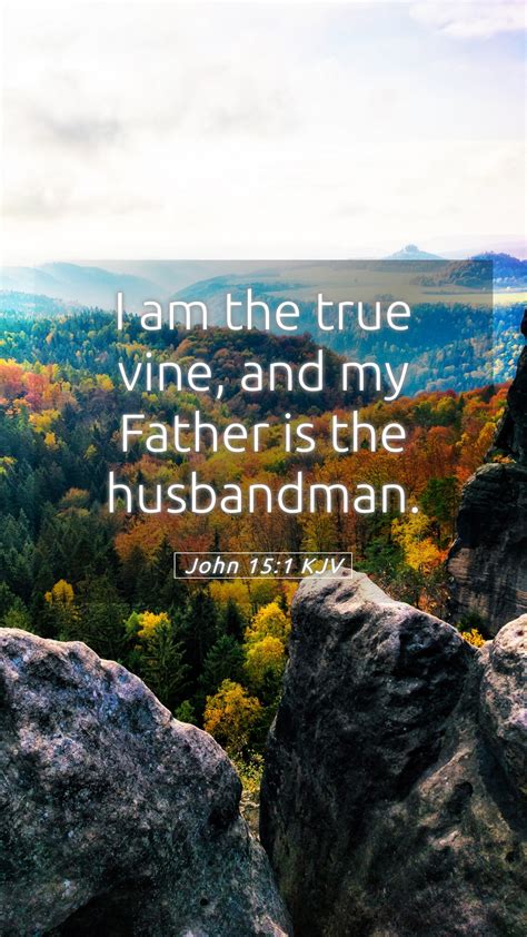 John 15:1 KJV Mobile Phone Wallpaper - I am the true vine, and my ...