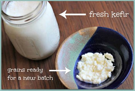 Kefir – Probiotic That Brings Health and Longevity | Best Herbal Health