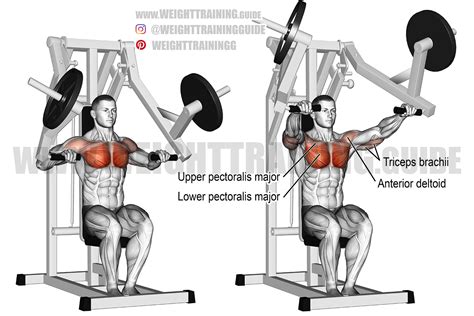 Machine chest press exercise instructions and video | WeightTraining.guide