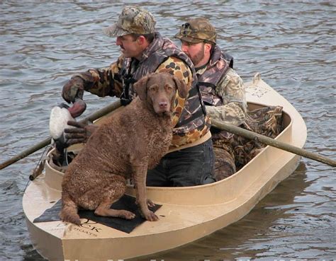 10 Best Hunting Dog Names | Grand View Outdoors