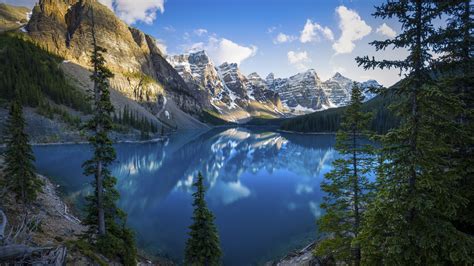 2560x1440 Lake Scenery Alberta Trees 5k 1440P Resolution ,HD 4k Wallpapers,Images,Backgrounds ...