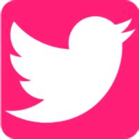 Pink Twitter Icon at Vectorified.com | Collection of Pink Twitter Icon free for personal use