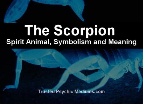 The Scorpion Spirit Animal - A Guide to Meaning and Symbolism.