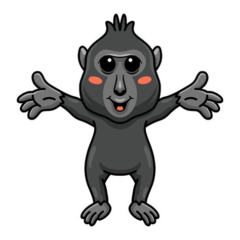 Cute little crested black macaque cartoon raising hands 14459896 Vector Art at Vecteezy