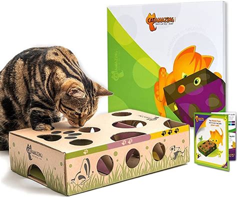 The 10 Best Cat Puzzle Feeders