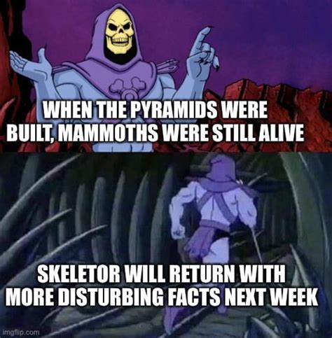 Skeletor with disturbing facts - Meme by schizoidman :) Memedroid