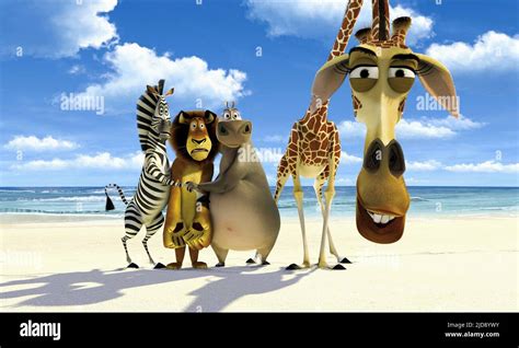 ZEBRA,LION,HIPPO,GIRAFFE, MADAGASCAR, 2005 Stock Photo - Alamy