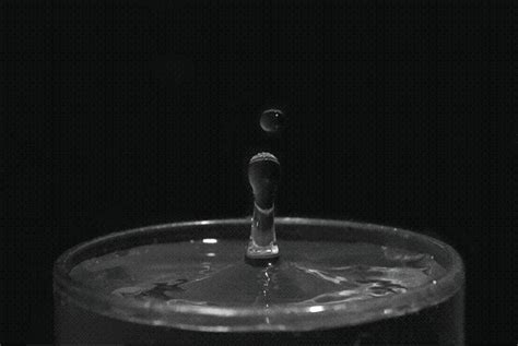 Water GIF - Find & Share on GIPHY