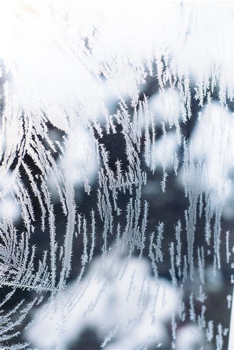 "Beautiful Frost Macro" by Stocksy Contributor "Kathryn Swayze" - Stocksy