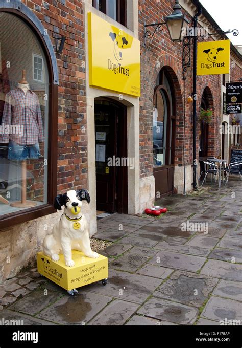 Dogs Trust charity shop, Marlborough, Wiltshire, UK Stock Photo - Alamy