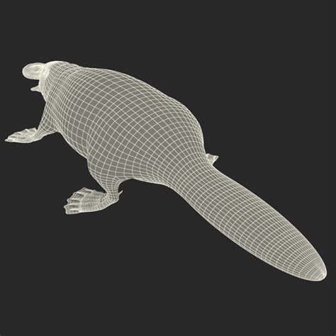 3d model platypus fur