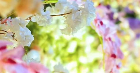 Wedding Flower Decoration Free Stock Video Footage, Royalty-Free 4K & HD Video Clip