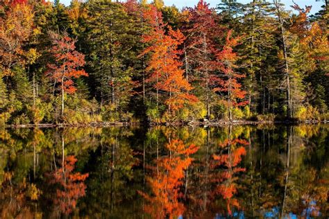 Fall Foliage Map 2018: When Autumn Leaves Peak In Massachusetts ...