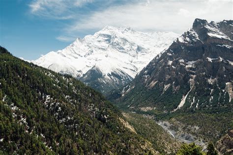 Annapurna II - Mountain Field Guide