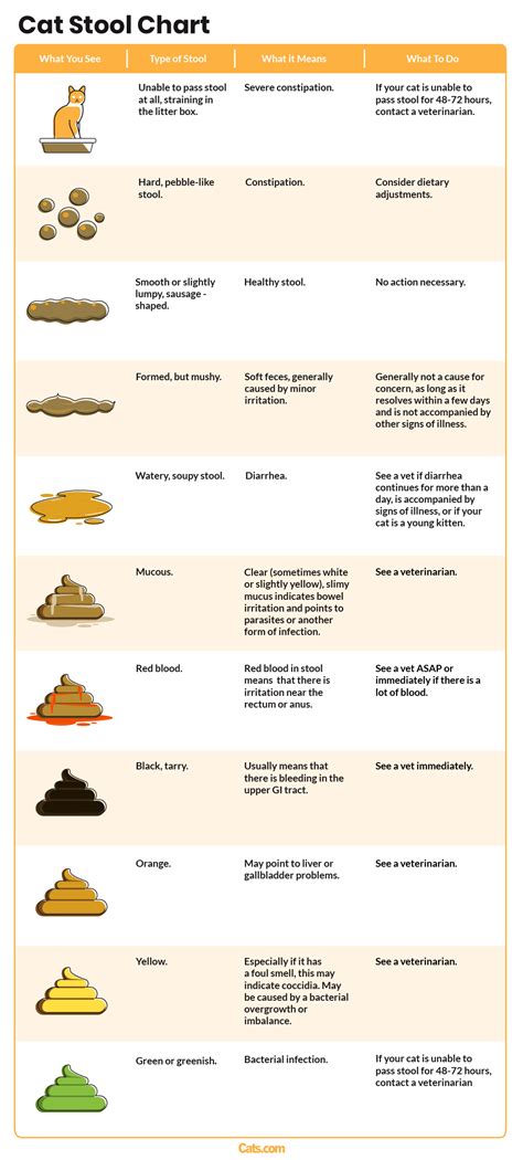 Vet Approved Cat Stool Chart: Decoding Your Cat's Poop - Cats.com