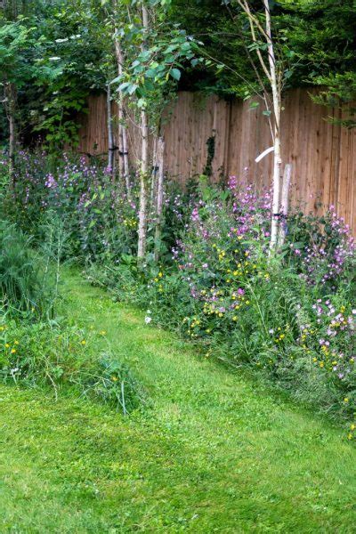 Where do you start with a neglected garden? – VegePlants.com