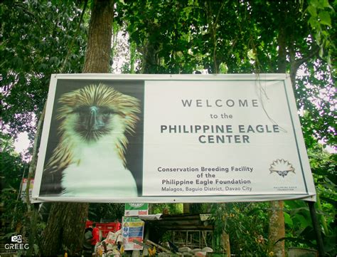 Philippine Eagle Center | Greeg Adventure