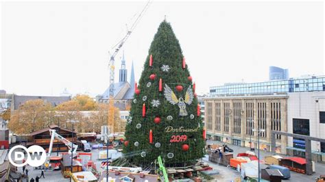 The biggest Christmas tree in the world – DW – 11/30/2019