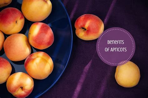 Apricot Health Benefits: A Yummy Fruit Packed With Goodness