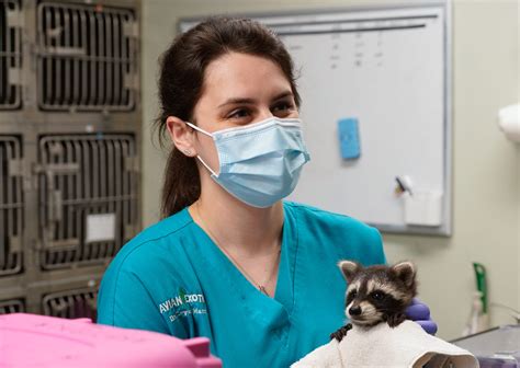 A day inside the Avian & Exotic Animal Clinic of Indianapolis