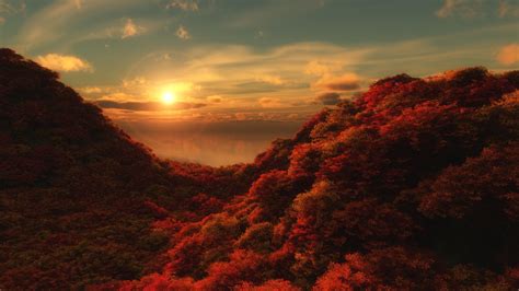 Sonne scheint auf den roten Wald HD Desktop-Hintergrund: Widescreen: High-Definition: Vollbild