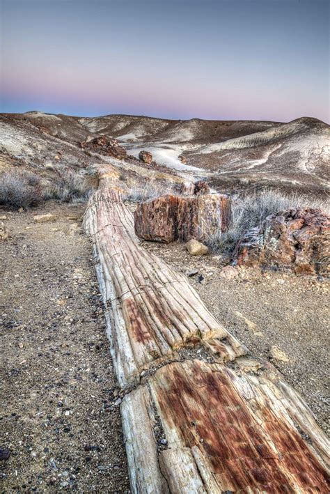 Petrified Log in Crystal Forest- Petrified Forest National… | Flickr