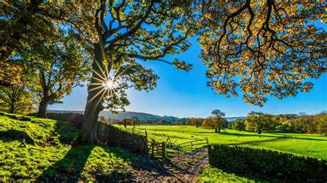 England countryside scenery - backiee