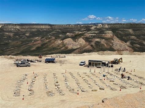 #1 place to go dig fossils - Review of Fossil Lake Safari By Fossilera ...