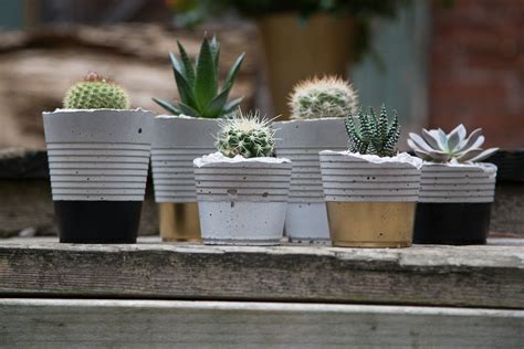 Concrete Planter Ideas To Get The Contemporary Look In Your Home