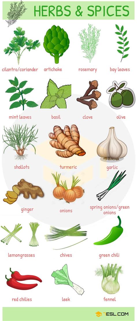 List of Herbs and Spices | Names of Spices and Herbs in English • 7ESL ...