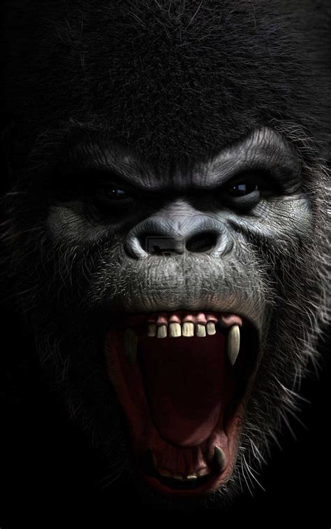 Angry Silverback Gorilla Drawing Roaring gorilla - viewing | Gorilla ...