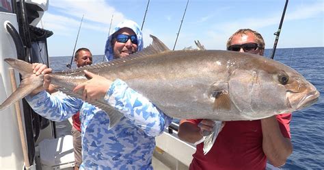 MONSTER AMBERJACK (& Grouper) On Hubbard's Marina Party Boat