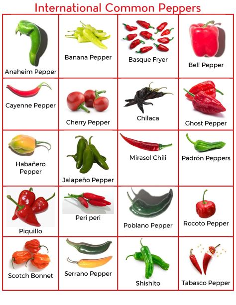 √ Piri Piri Pepper