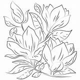 Magnolia Coloring Pages Printable For Free Download sketch template