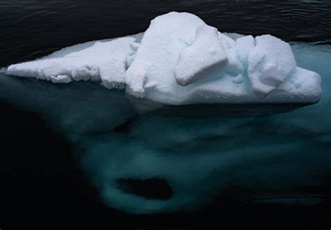 What Is Iceberg Theory - Definition And Examples