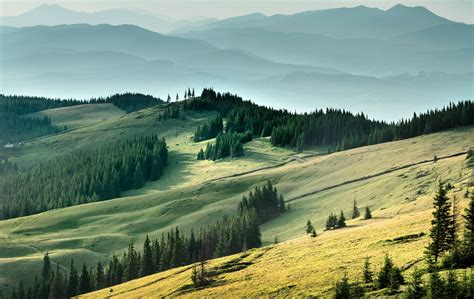 field, Forest, Carpathians, Mountains, Ukraine Wallpapers HD / Desktop and Mobile Backgrounds