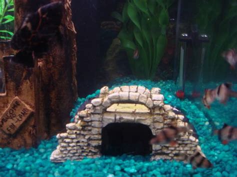 DIY Aquarium Caves | DIY Caves - with a blow torch and sawzall ...