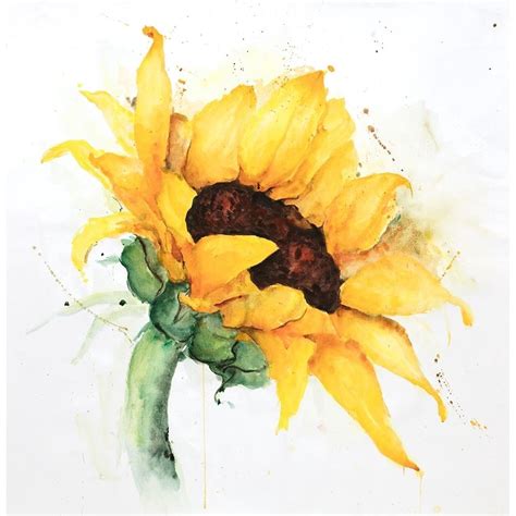 WATERCOLOR SUNFLOWER WITH PAINT SPLASH Poster Print by Atelier B Art ...