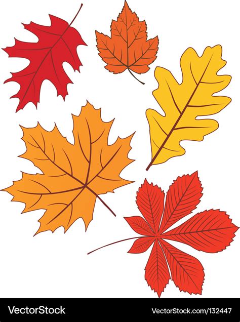 Collection of autumn leave shapes Royalty Free Vector Image